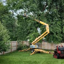 Three Oaks, FL Tree Services Company